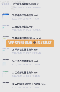 WPS Office怎么批量处理多个文件？-WPS Office一键下载